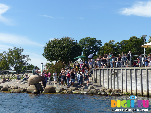 FZ031942 Crowd of people at Little Mermaid statue